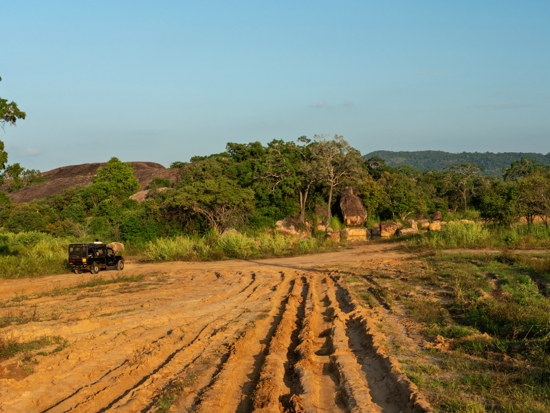 Tour Classic Sri Lanka Winter - 8 days/7 nights private tour — 18